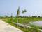 Jamwasi Plot View 2