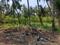 Sandor, Vasai West Main Image 1