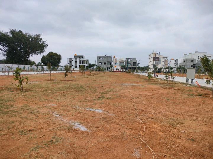 Ruby Sizzle Heritage Main Image 1