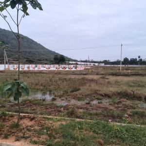 Image of 200 Sq.ft Residential Plot / Land for sale in Bhogapuram, Visakhapatnam for Rs. 4000000