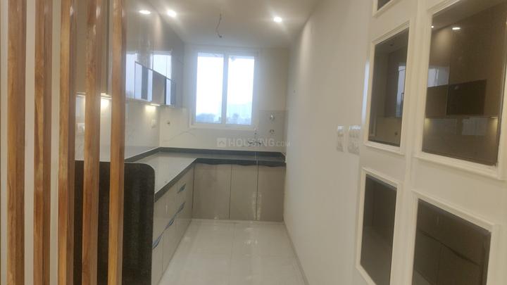 Opulent Arya Shine Main Image 1