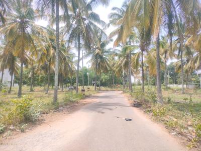 JR Coconest Prime Internal Roads 3
