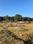 Tilwadi Plot View 2
