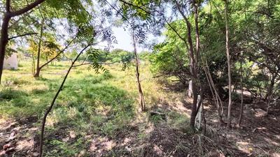 Image of 1831 Sq.ft Residential Plot / Land for sale in Kundal, Mehsana for Rs. 12500000
