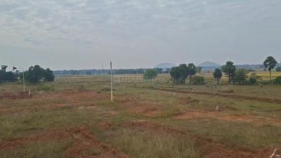 Image of 1500 Sq.ft Residential Plot / Land for sale in Khordha, Khordha District for Rs. 850000