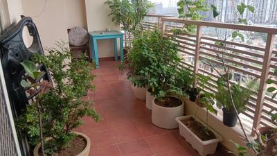 Balcony Image of 2414 Sq.ft 3 BHK Apartment / Flat for sale in Solutrean Caladium, Sector 109 Gurgaon for Rs. 23500000