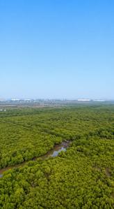 Image of 1089 Sq.ft Residential Plot / Land for sale in Borgaon, Raigad for Rs. 390000