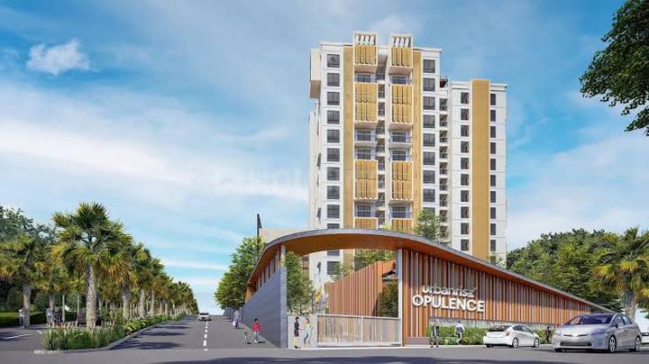 Opulence Main Image 1