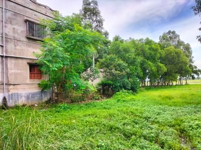 Image of 3923 Sq.ft Residential Plot / Land for sale in Bajepratappur, Bardhaman for Rs. 3850000