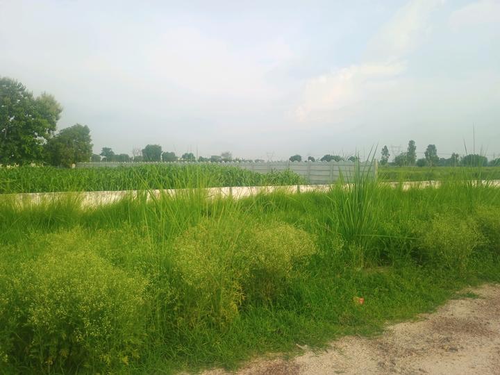 Viraj Residency Main Image 1