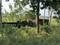Kharagpur Plot View 2