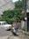 LDA plot sale Main Image 1