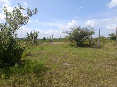 Image of 960 Sq.ft Residential Plot / Land for sale in Lohegaon, Pune for Rs. 3018000