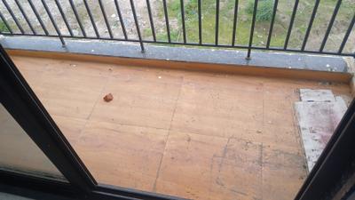 Balcony Image of 1204 Sq.ft 2 BHK Apartment / Flat for sale in Sumerru Sky Leaf, Jahangirabad Surat for Rs. 4300000