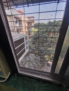 Balcony Image of 600 Sq.ft 1 BHK Apartment / Flat for rent in Shree Kanchan Janga CHS, Kopar Khairane Navi Mumbai for Rs. 40000