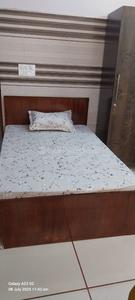 Bedroom Image of Sharma PG in Shahdara, New Delhi