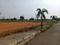 AVANTHIKA BHANUR Plot View 1