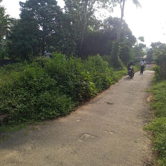 Residential 4100 Sqft Plot for sale at Balaramapuram