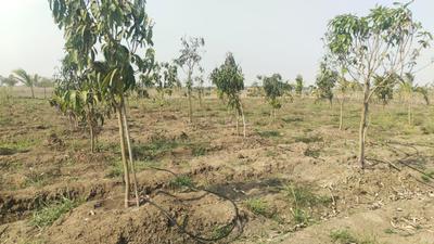 Image of 600 Sq.ft Residential Plot / Land for sale in Green Spot, Karanodai, Chennai for Rs. 350000