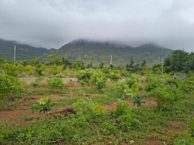 Image of 200 Sq.ft Residential Plot / Land for sale in Dokiparru, Guntur for Rs. 1100000