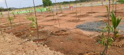 Image of 9205 Sq.ft Residential Plot / Land for sale in Palliagaram, Chennai for Rs. 3313800