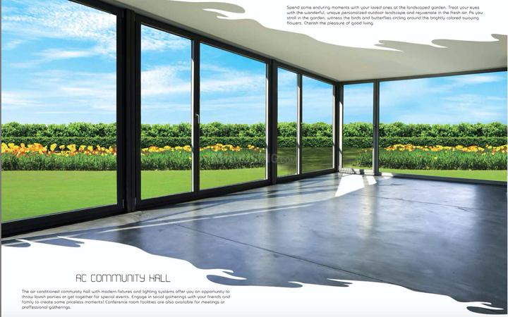 Tolly Exotica Main Image 1