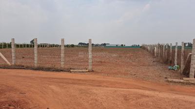 Agricultural Land