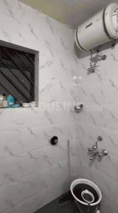 Image of clover trump in Sangamvadi, Pune