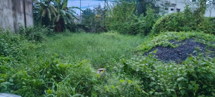 Wallfort Garden Main Image 1
