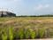 MDC Sector 4 Plot View 2