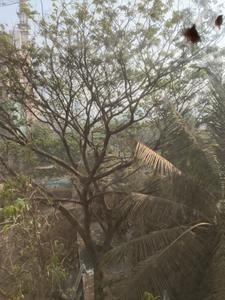 Image of 550 Sq.ft 1 BHK Apartment / Flat for sale in Sushanku Avenue 36, Goregaon West, Mumbai for Rs. 11500000