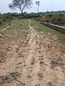 Image of 1000 Sq.ft Residential Plot / Land for sale in Jhalwa, Allahabad for Rs. 1299999