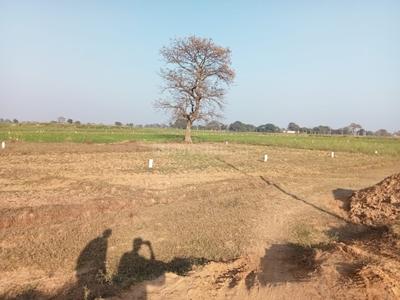 Spring Fields Plot View 3