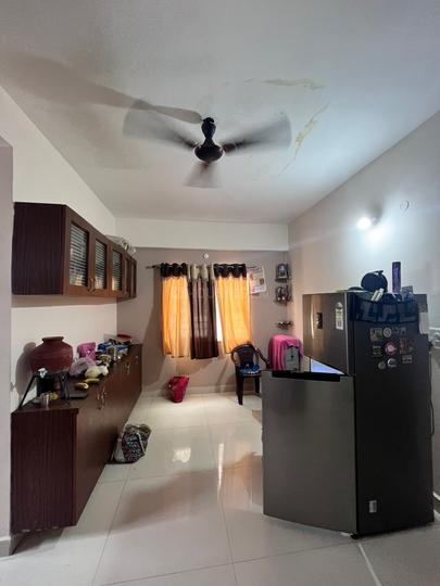 Fortune Green Falcon Main Image 1