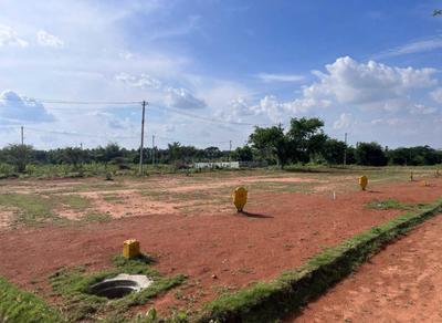 Prestige nature woods  Plot View 2