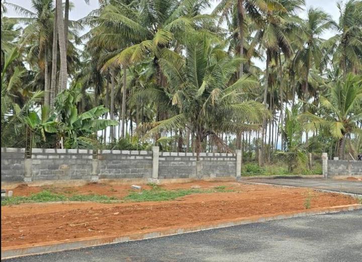 Kuniyamuthur Main Image 1