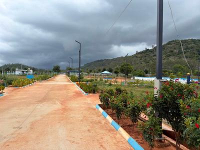 Varuna Plot View 3