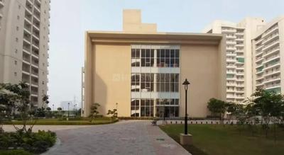 Image of 1624 Sq.ft 3 BHK Apartment / Flat for rent in BPTP Discovery Park, Sector 80, Faridabad for Rs. 40000