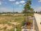 Navalpattu Plot View 2