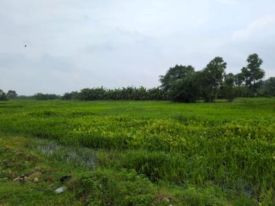 Residential Plot