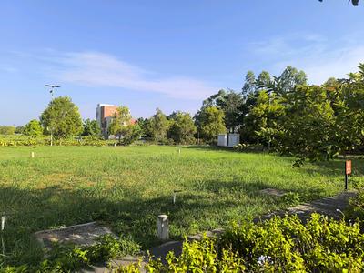 Residential Plot