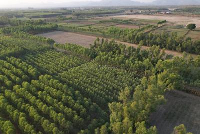 Image of 4900 Sq.ft Residential Plot / Land for sale in Biharigarh, Saharanpur for Rs. 46000000