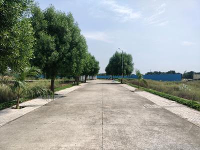 Image of 137 Sq.ft Residential Plot / Land for sale in Soha Neal City, Sector 98, Faridabad for Rs. 16440000
