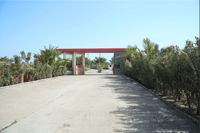 Image of 372 Sq.ft Residential Plot / Land for sale in Lothal, Ahmedabad for Rs. 3720000