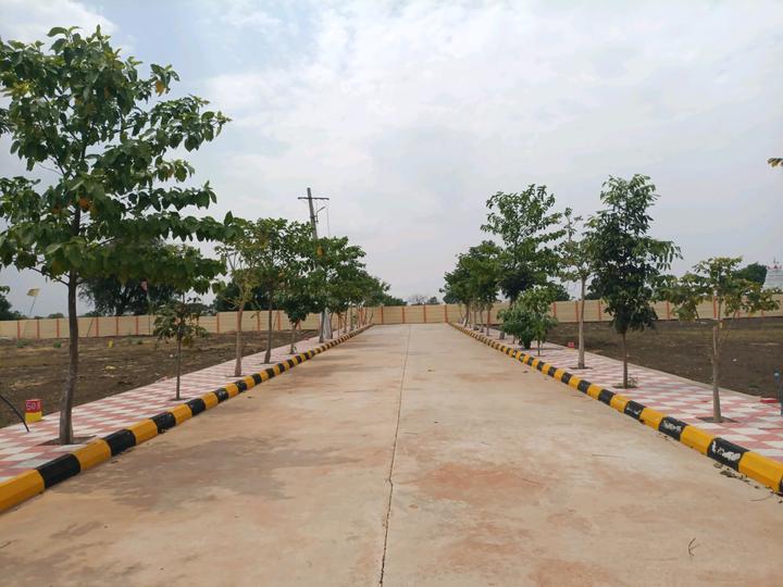 Western Vista Main Image 1