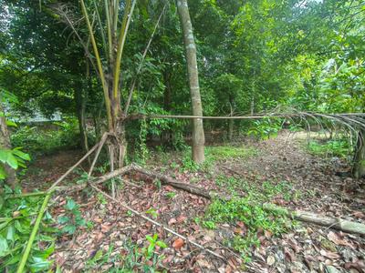 Image of 3485 Sq.ft Residential Plot / Land for sale in Chendamangalam, Kochi for Rs. 3600000