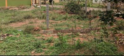 Residential Plot