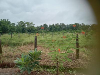 Image of 2659 Sq.ft Residential Plot / Land for sale in Karjat, Thane for Rs. 2400000