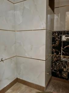 Common Bathroom Image of 550 Sq.ft 2 BHK Apartment / Flat for sale in Sector 1 Dwarka New Delhi for Rs. 5000002