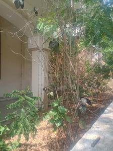 Image of 7200 Sq.ft 6 BHK Independent House for sale in Vaishali Nagar, Jaipur for Rs. 130000000